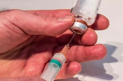 Zytoplasmatherapie in der Tierheilpraxis
